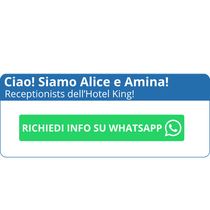 WhatsApp aggiuntivo